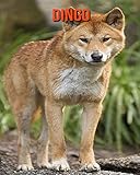 dingolfing einwohner  Dingo: Amazing Photos & Fun Facts Book About Dingo For Kids