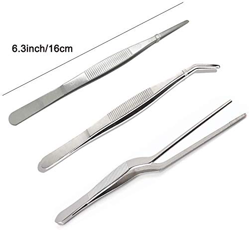 Rudra Exports Kitchen Cooking Culinary Tweezers, Stainless Steel Precision Tongs Medical Beauty Utensils, 6.3 Inches -3 Pieces Set 1