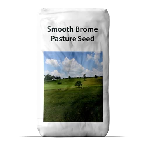 Outsidepride 5 lb Smooth Brome Pasture Seed for Planting