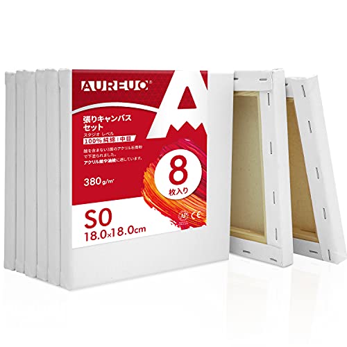 AUREUO 張りキャンバス セット S0 中目 100%コットン 8枚 初心者 絵画用具 芸術絵創作 現代油絵 美術装飾 水彩画 油絵画 アクリル兼用