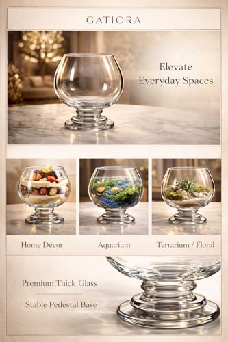 Image of Glass Fish Bowl /Terrarium Wine Cup Decorative Glass Aquarium for Home Decor Elegant Centerpiece for Living Room, Office & Balcony Ideal for Displaying Plants, Pebbles & Fish (10 Inch)