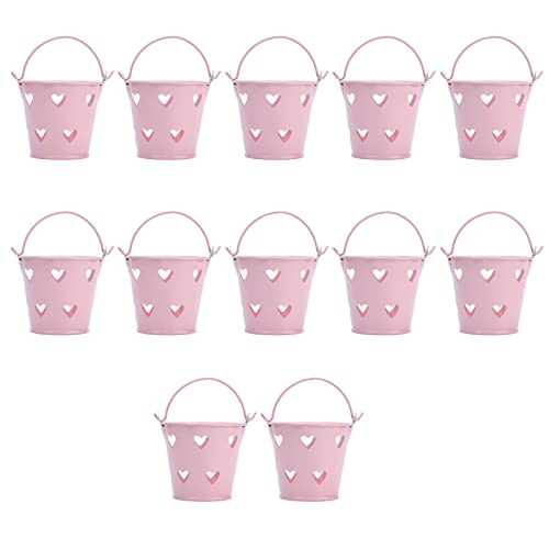 BONKZEBU Mini Seau en Métal Décoratif en Forme de Cœur Creux pour Cosmétiques, Seau en Fer pour Fêtes d'anniversaire et de Mariage, 12 Pièces
