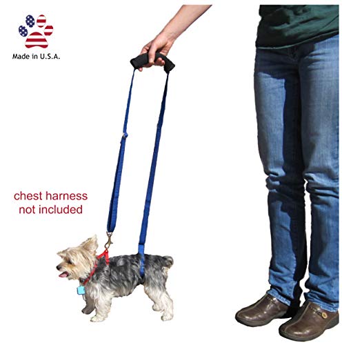 GingerLead Dog Support & Rehabilitation Harness - X-Small/Mini Sling; Assist Older or Handicapped