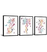 iKNOW FOTO DNA Molecule Wall Art Set of 3 Watercolor Science Prints with Black Frame Biology Post...