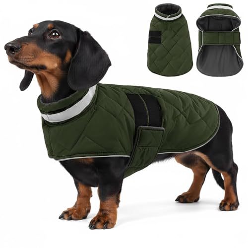 ASENKU Hundemantel für Kleine Hunde XS, Hundemantel Winter Wasserdicht, Fleece Reflektierende Hundejacke Warm mit Verstellbarem,Wintermantel Hund mit Geschirr Loch Karierte für Chihuahua,Dackel