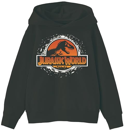 Jurassic World Boys Pullover Hoodie Dinosaur Graphic Fleece Sweatshirt Black Sizes 420