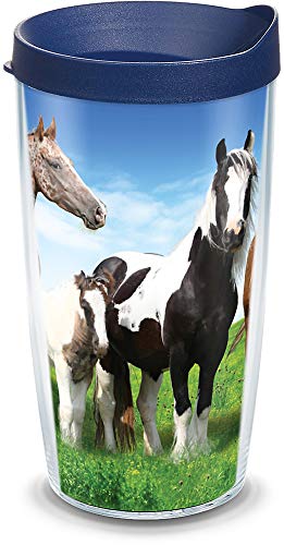 Tervis Horses Made In Usa Double Walled Insulated Tumbler Travel Cup Keeps Drinks Cold & Hot, 16Oz, Clear #TOP11