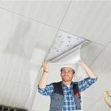 QHZYMX Easy Install Self-Stick Ceiling Tiles, Waterproof PVC Decorative Panels for Quick Home/Basement Renovation, No Tools Needed for Installation(350 pcs)