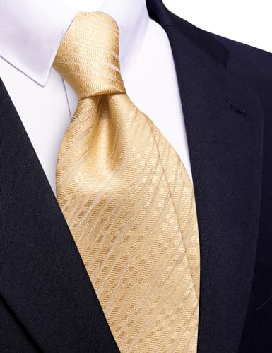 Image of Barry.Wang Silk Men Ties Formal Stripes Necktie and Tie Clip for Wedding Party Business Fashion Classic