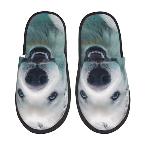 [Mineye] H~p AjȃXbp j錢 ~ É Xbp  nEXX Xp [V[Y 􂢂₷jp  yĖՂɋ_炩 L