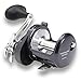 Shimano Torium 30 HGA Saltwater Star Drag Fishing Reel