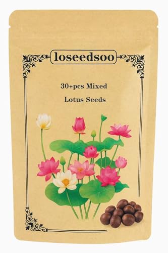 30PCS Premium Lotus Seeds for Planting in Water Mixed Color Bowl Flower for Ponds Bonsai Indoor Water Gardens & Lotus Bowl Planter Non-GMO Easy Grow Water Lotus Seeds