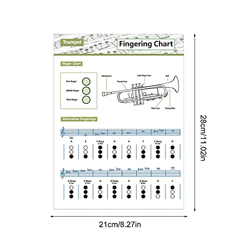 Loandicy Trompet akkoord Grafiek | Grafiek Voor Trompet - Draagbare Referentie Voor Beginners Volwassen Of Kid Klarinet Akkoord Sheet Trompet Praktijk Grafiek - Image 3