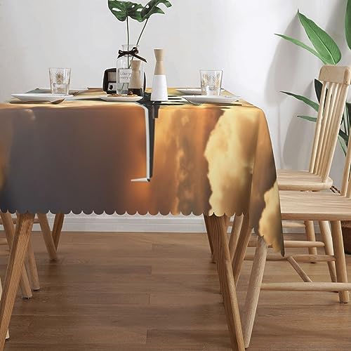 Nappe avion lavable et douce pour éliminer les taches de la table basse - 4