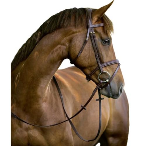 Foto von Covalliero Trensenzaum Classic Leder, schwarz, Cob