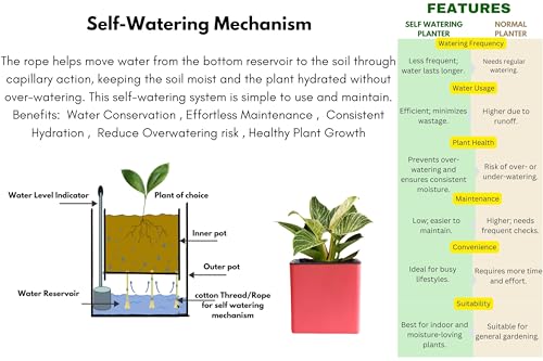 Image of Indian Discovery Self Watering Tabletop Planter| Flower Pots for Home, Terrace, Balcony, Garden Decor Flower Pots(1 PC, Baby Pink, Square) |6 Inch UV-Resistant Plastic Plant Pots