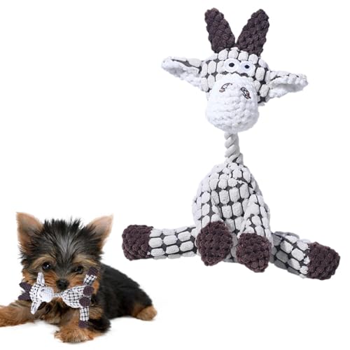 Lifetips [NV[eA pʂ  XNC[J[ JVJV {AR[fC y v @OK ^ q VjA XgX p pʂ  XNC[J[ @Ő􂦂 (SHEE