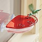 Hummingbird Window View Feeder Jewel Box Suction Cups Bird