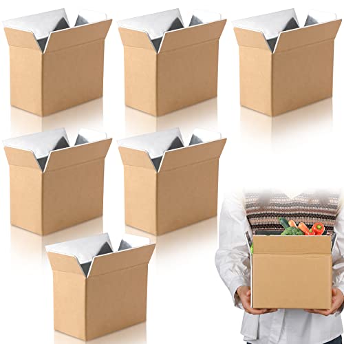 Image of Insulated Shipping Box Cold Double Insulated Carton with Foil Foam Cooler Boxes Delivery Moving Kits Foam Shipping Containers for Mailing Packing, Box Inside 8.7'' x 4.5''x 6.1''(6 Pcs)