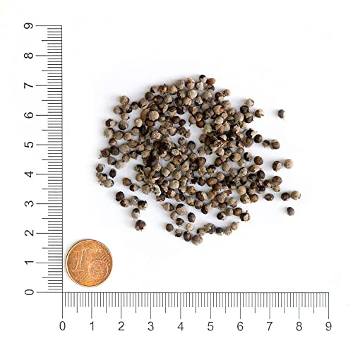 Krauterie Mönchspfeffer Hund, Einzelfuttermittel für Hunde (100 g), Mönchspfeffer Ganz in Spitzenqualität
