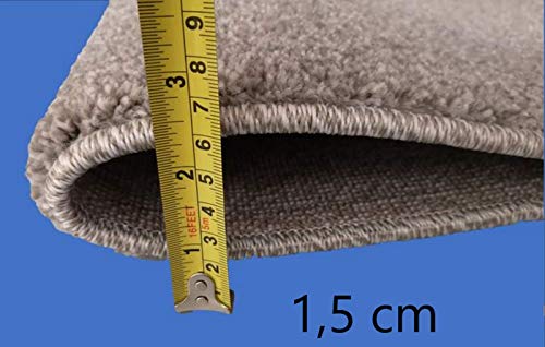 Tapis de salon haut de gamme gris 140x200 cm texturé