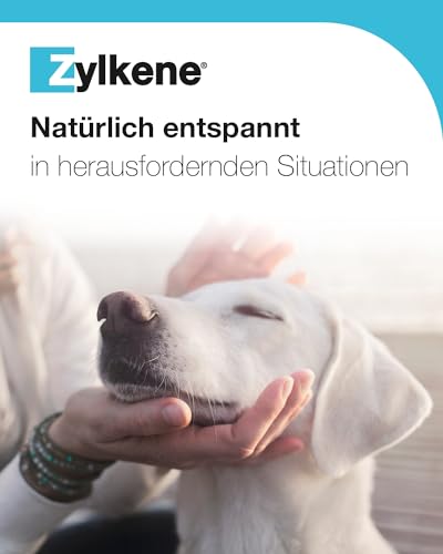 Zylkene® Chews (14 x) Zur Stressreduzierung | Für kleine Hunde | Ergänzungsfuttermittel für mehr Wohlbefinden in ungewohnten Situationen | Für kleine Hunde  10 kg