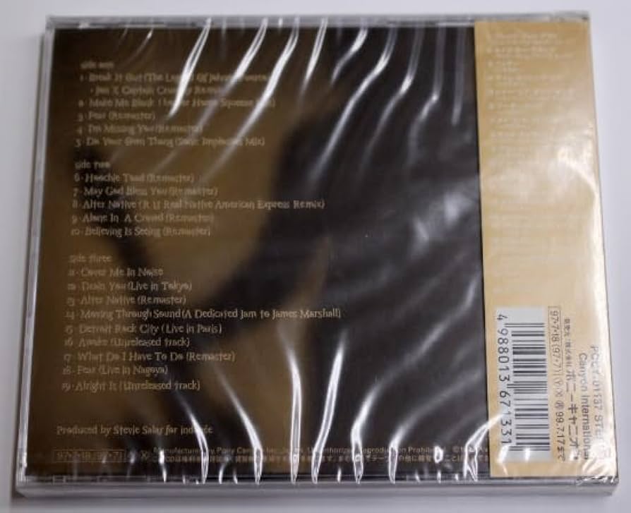 STEVIE SALAS スティーヴィーサラス オルタネイティヴ バンドスコア Amazon.co.jp: STEVIE SALAS スティーヴィーサラス