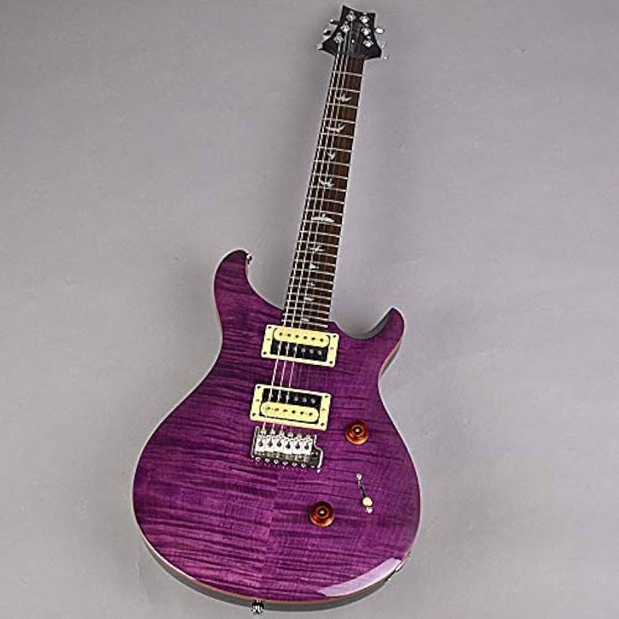 【美品】ポールリードスミス　エレキギター PRS SE STANDARD 24 エレキギター ポールリードスミス(Paul Reed Smith