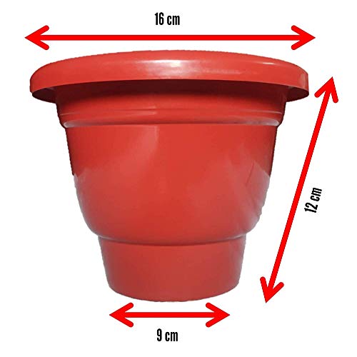 Leafy Tales Plastic Pots, Terracotta Color 6 inch Pot Size, 6 Pieces, Small (6" Terracotta Pot - 6)