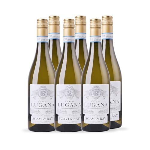 SCAVI & RAY Lugana DOC Weißwein 6 x 0 75l trocken erfrischend- blumiger Weißwein aus Italien 13% Vol. Alkohol Perfekt für die italienische Küche und Genießer