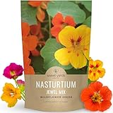 Nasturtium Jewel Mix - Bulk 1/4 Pound Pouch - 750 Flower Seeds for Planting - Tropaeolum majus