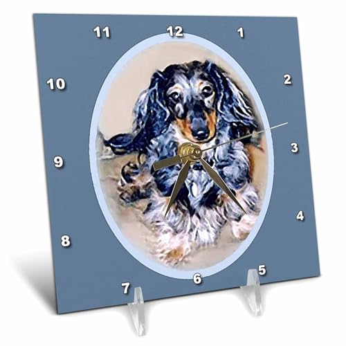 3dRose dc_596_1 Long Hair Dapple Dachshund-Desk Clock, 6 by 6-inch, Multicolor
