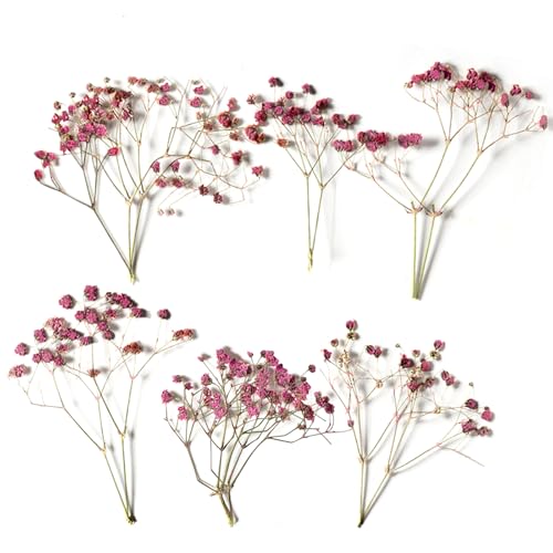 ARYIMYDP 12 Pezzi Fiori Secchi, Gypsophila Rosa, Fiori Secchi Fatti a Mano, Ideali per Regali Decorativi, Cornici e Creazioni Personalizzate