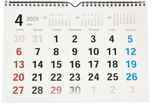 2025年カラー壁掛けリングカレンダー 文字が大きく見やすい SIMPLE IS BEST(シンプル イズ ベスト)シリーズ A4 13枚タイプ SP-2 color calendar 令和七年カレンダー 文房具