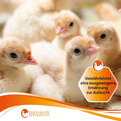 Eivolution Bio-Aufzuchtfutter Geflügel 14kg - Proteinreich - Für Küken, Hühner, Wachteln, Puten