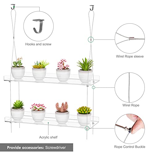 Support mural d'intérieur pour plantes transparent à suspendre double plateau