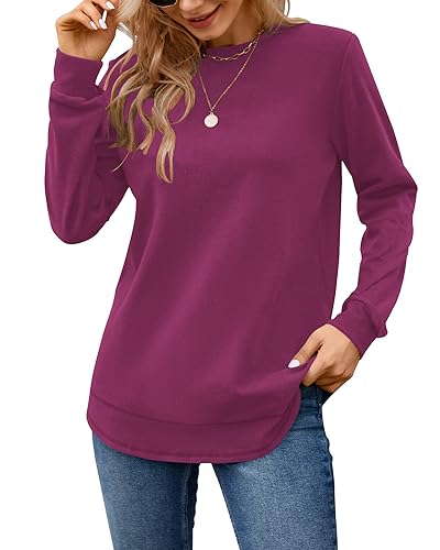 Image of MOLERANI Sweatshirts for Women Casual Long Sleeve Crewneck Shirt Tunic Tops | Pullovers, Soft Lightweight Warm Fabric, Loose Fit, Fall Winter Trendy Clothes, Daily Wear, Workout, Outdoor Outfits