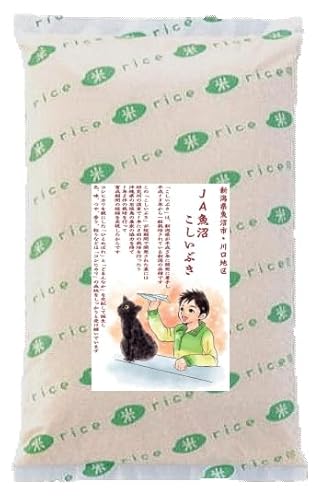 お米の専門店スズノブ千葉店 新潟県 魚沼産こしいぶき 玄米 5kg 令和7年産
