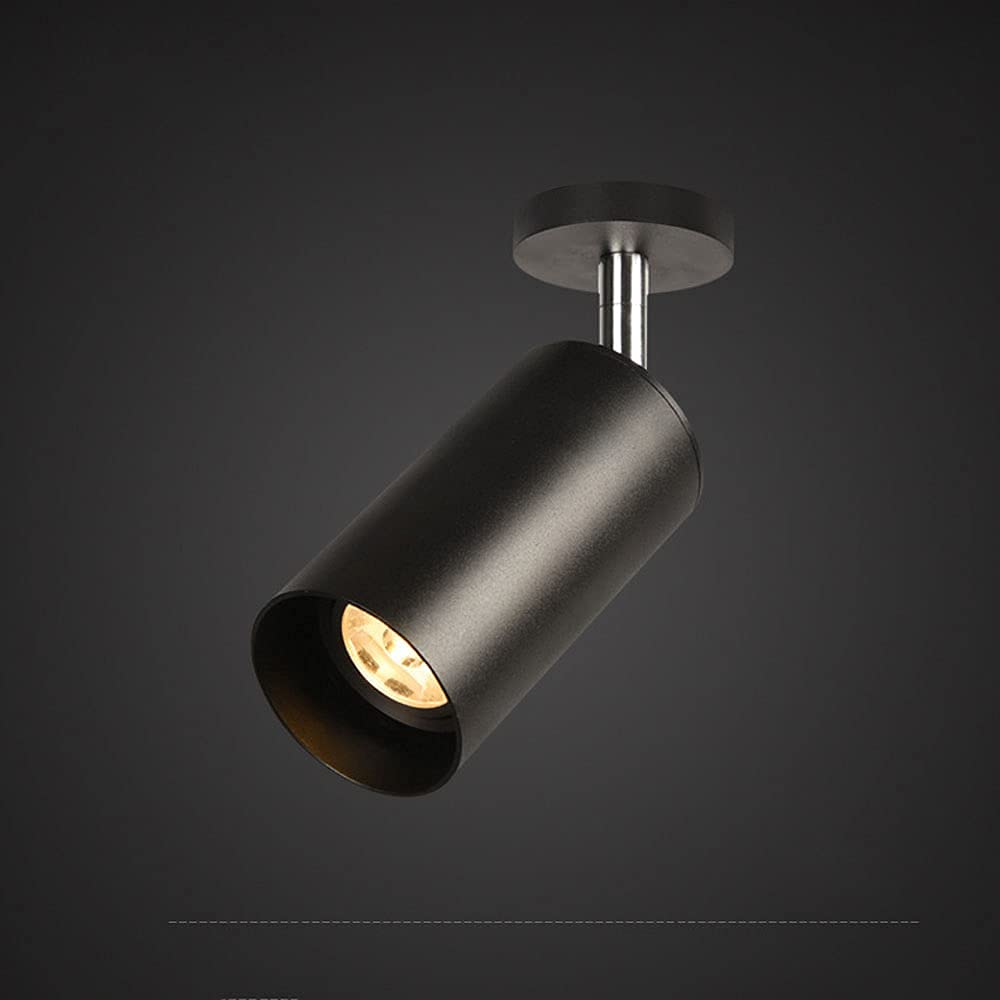 Spot de plafond orientable pour éclairer une galerie d'art et un salon