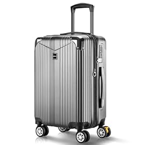 【堀田さま】スーツケースＬ/大/シルバー/保証/キャリーケース/収納カバー laborio キャリーケース スーツケース lサイズ トランク大型