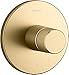 Kohler T78027-8-2MB Components Plumbing Fixtures, Vibrant Brushed Moderne Brass