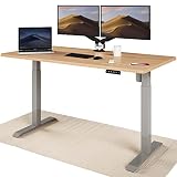 Desktronic Höhenverstellbarer Schreibtisch (160x80 cm) - Sitz- & Stehpult mit Ladebuchsen - Schreibtisch Höhenverstellbar Elektrisch Touchscreen & Stahlfüßen - Schreibtisch Höhenverstellbar