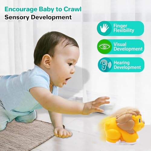 Image of ToyBharat Cute Lion Friction Powered | Gift Toy | Made in India | 1-6 Year | Realistic Design | Indoor Outdoor Play | Safe and Non-Toxic | Gift for Kids | Multicolour