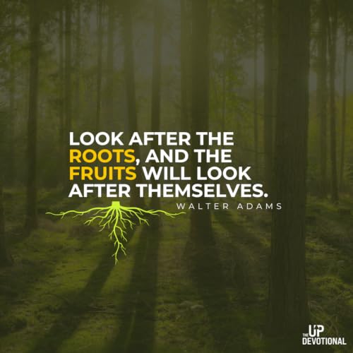 Roots before fruits