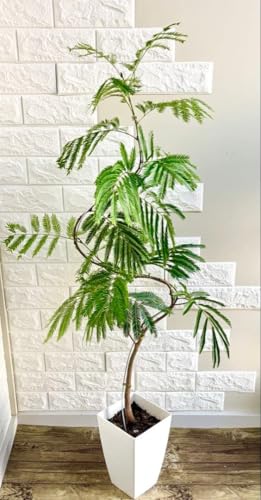 �G�o�[�t���b�V���Ȃ��� �ϗt�A��