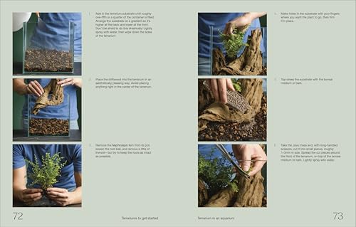 Hello Tiny World: An Enchanting Journey into the World of Creating Terrariums - Image 5