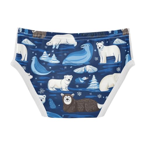 Wusikd Animals Boys' Underwear Cotton Blue Boys Briefs Soft Toddler Underwear 2T2