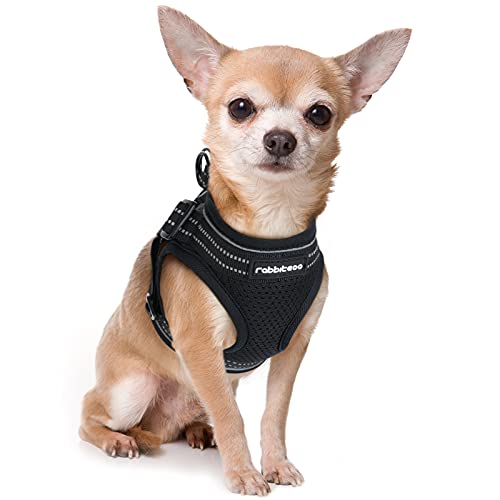 rabbitgoo Small Dog Harness, Soft Mesh Dog Harness with 4 Adjustable Straps, No Pull Dog Vest Harness with Double Clips…
