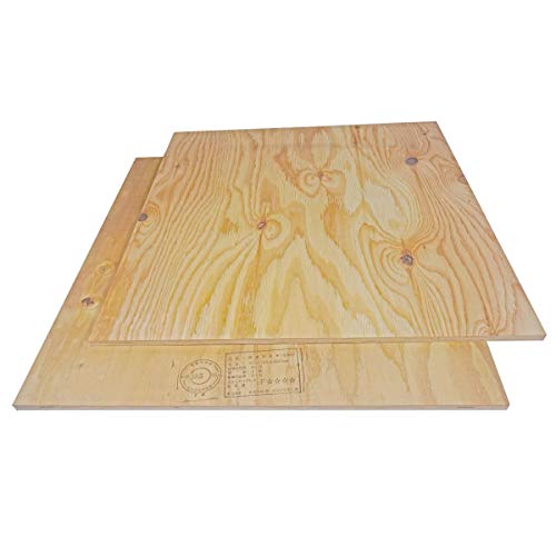 木 板 木材 板 板材 カット 針葉樹合板 JAS F☆☆☆☆ 【 厚さ 12mm × 長さ 600mm × 幅 600 mm 2枚セット 】 ウッディヨネダ