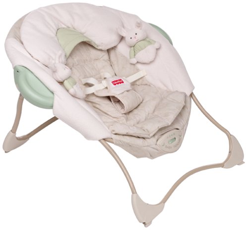 Fisher-Price Baby Papasan (Discontinued by Manufacturer) (Discontinued by Manufacturer)